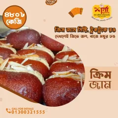 🍩 Barfi sweets
