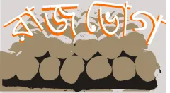 🍰 Rajbhog